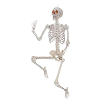 5 FOOT Posable Life-Size Halloween Skeleton