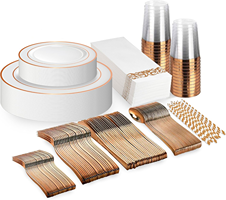 Rose Gold Rim Plastic Dinnerware Set (25 Guests)
