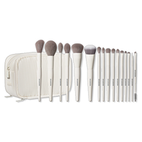 Morphe: Ready, Set, Pro 16-Piece Face & Eye Brush Set