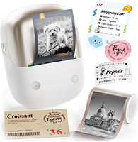 NIIMBOT B2 Pro Portable Label Maker